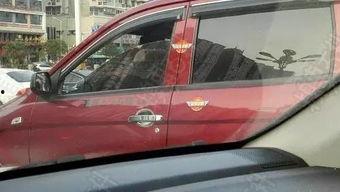 国产神车停车视频大全下载,视频大全下载攻略