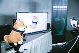 国产圆皮生产厂家视频,探秘圆皮生产厂家生产线